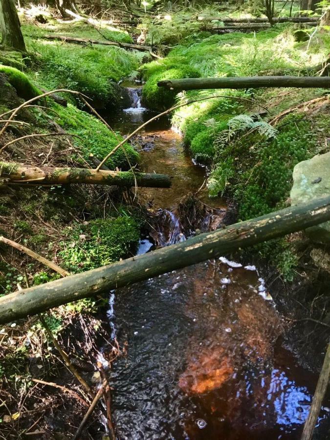 Ferienwohnung Gipfelnest Braunlage Kültér fotó